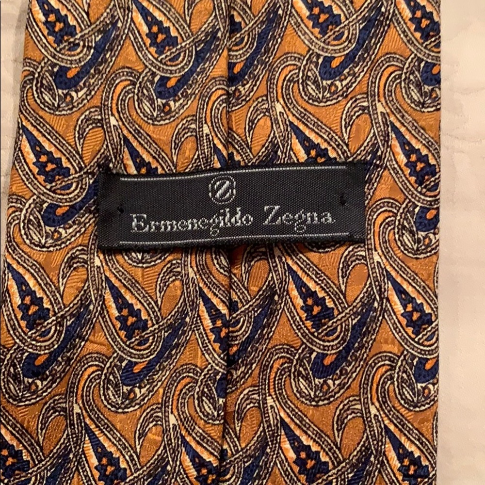 Ermenegildo zegna tie